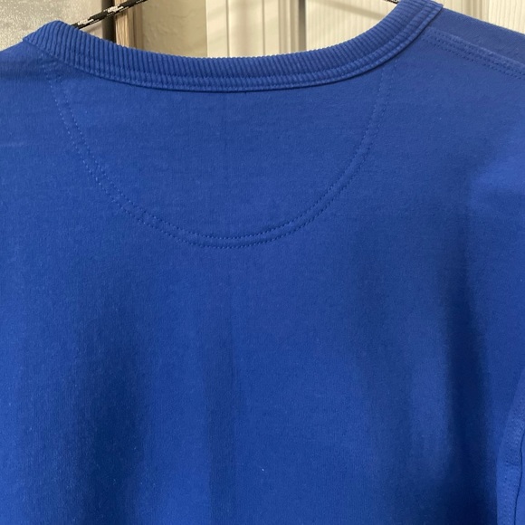 Champion Men’s Blue Vertical Spellout Crewneck Pullover L/S Sweatshirt/L-EUC - Picture 4 of 14